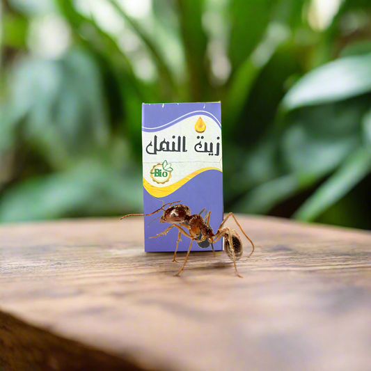 Ant oil